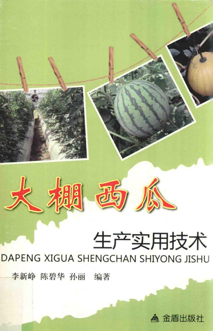 大棚西瓜生产实用技术 封面