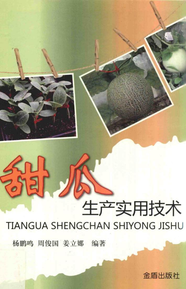 甜瓜生产实用技术 封面