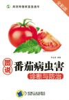 图说番茄病虫害诊断与防治  全彩版 封面