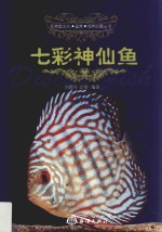 七彩神仙鱼 封面