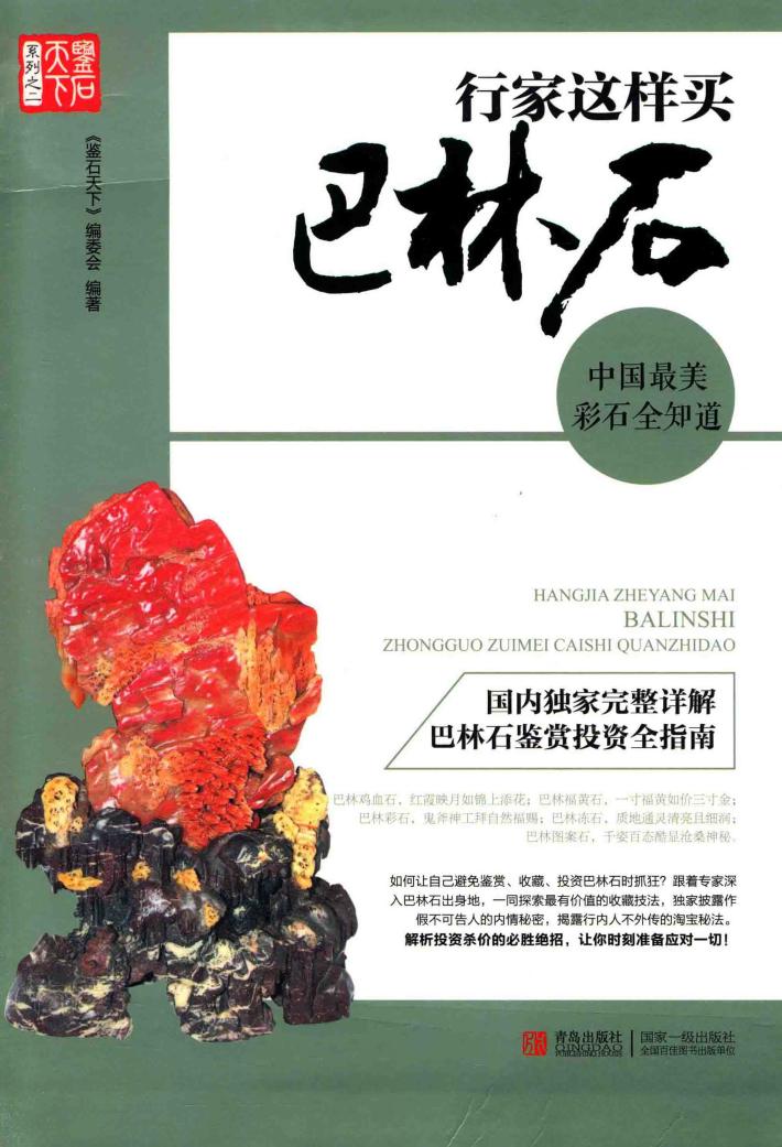 行家这样买巴林石  中国最美彩石全知道 封面