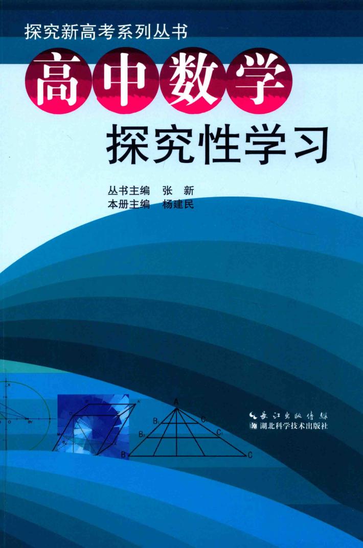高中数学探究性学习 封面