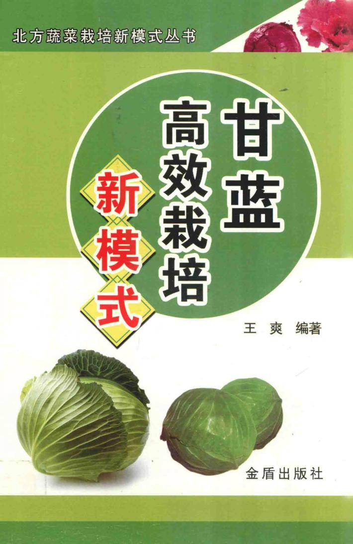甘蓝高效栽培新模式 封面