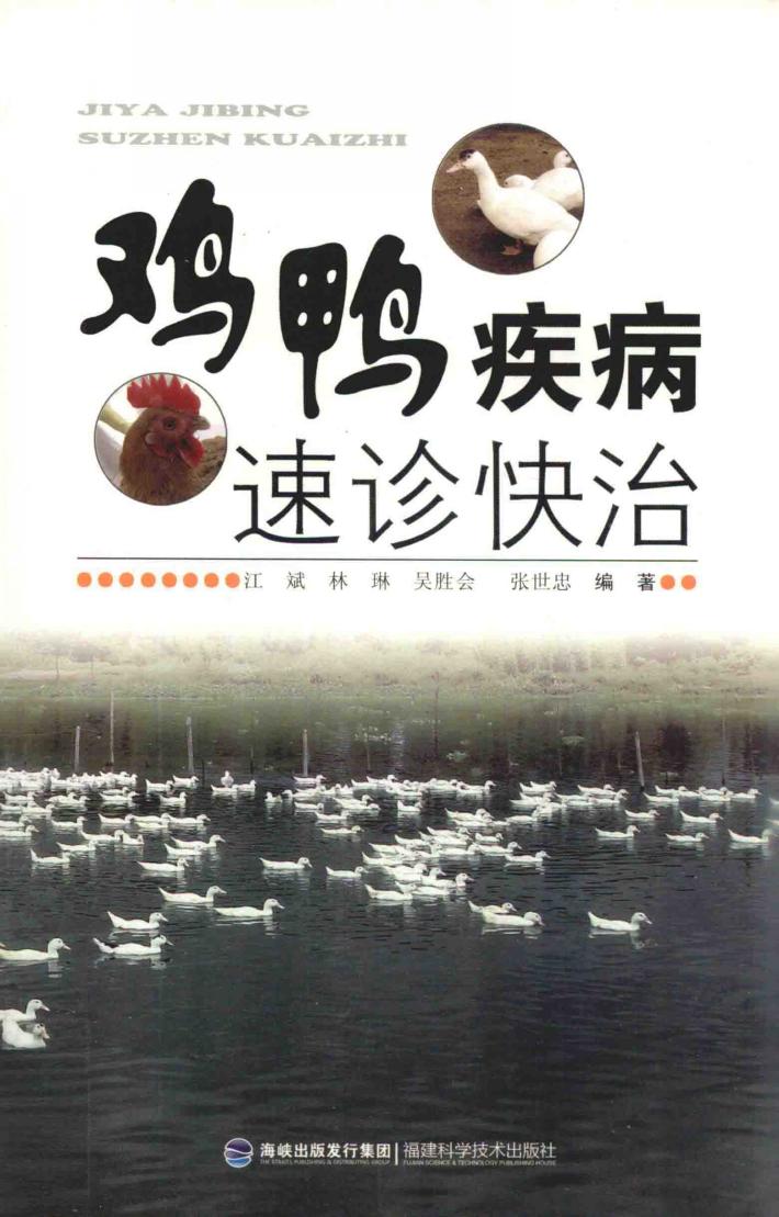 鸡鸭疾病速诊快治 封面