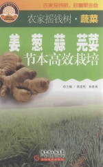 姜葱蒜芫荽节本高效栽培 封面