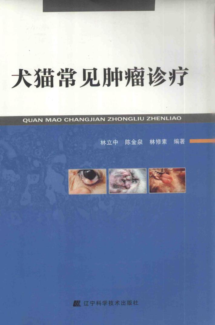 犬猫常见肿瘤诊疗 封面