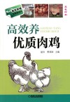 高效养优质肉鸡 封面