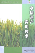水稻高产实用技术 封面