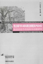 毛白杨TIR-NBS类抗病相关PtDrl02基因启动子的结构与功能研究 封面
