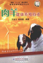 肉羊健康养殖技术 封面