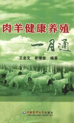 肉羊健康养殖一月通 封面