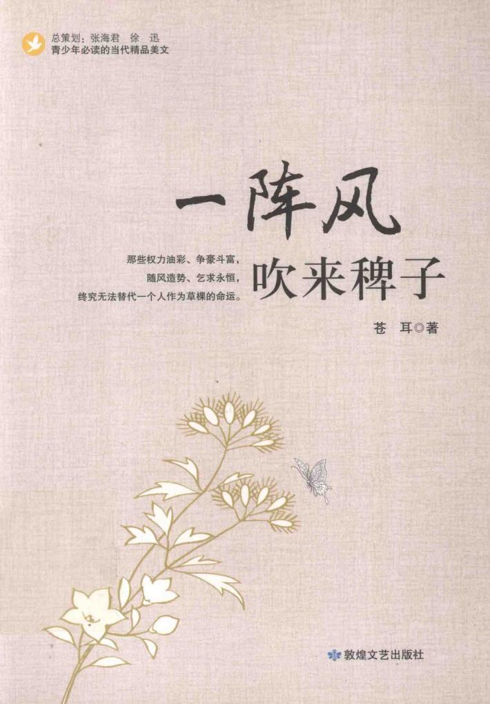 一阵风吹来稗子 封面