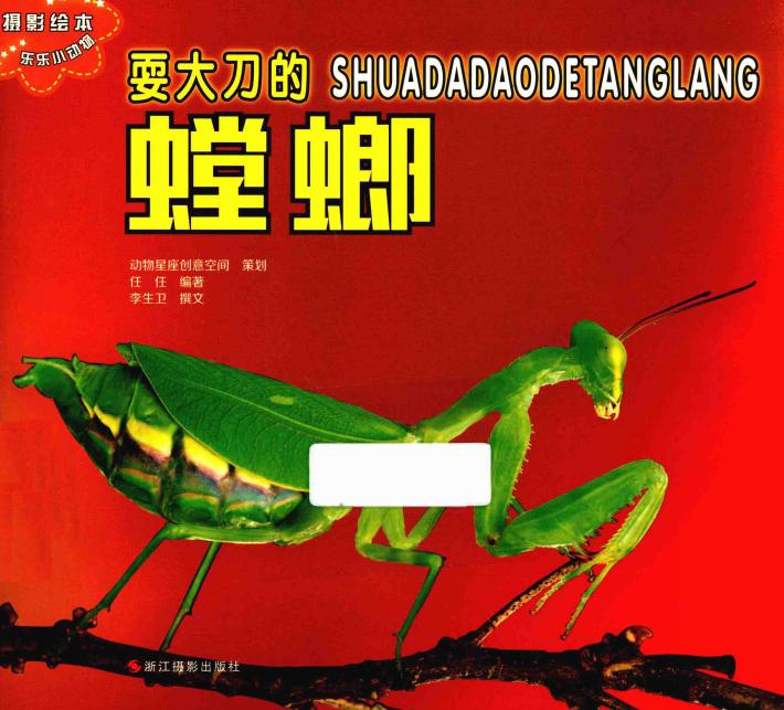 乐乐小动物丛书  耍大刀的螳螂 封面