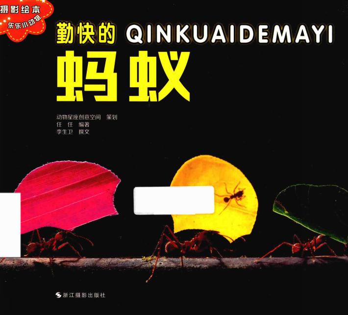 乐乐小动物丛书  勤快的蚂蚁 封面