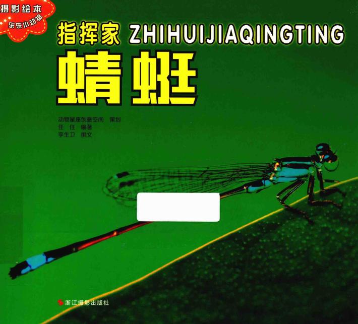 乐乐小动物丛书  指挥家蜻蜓 封面