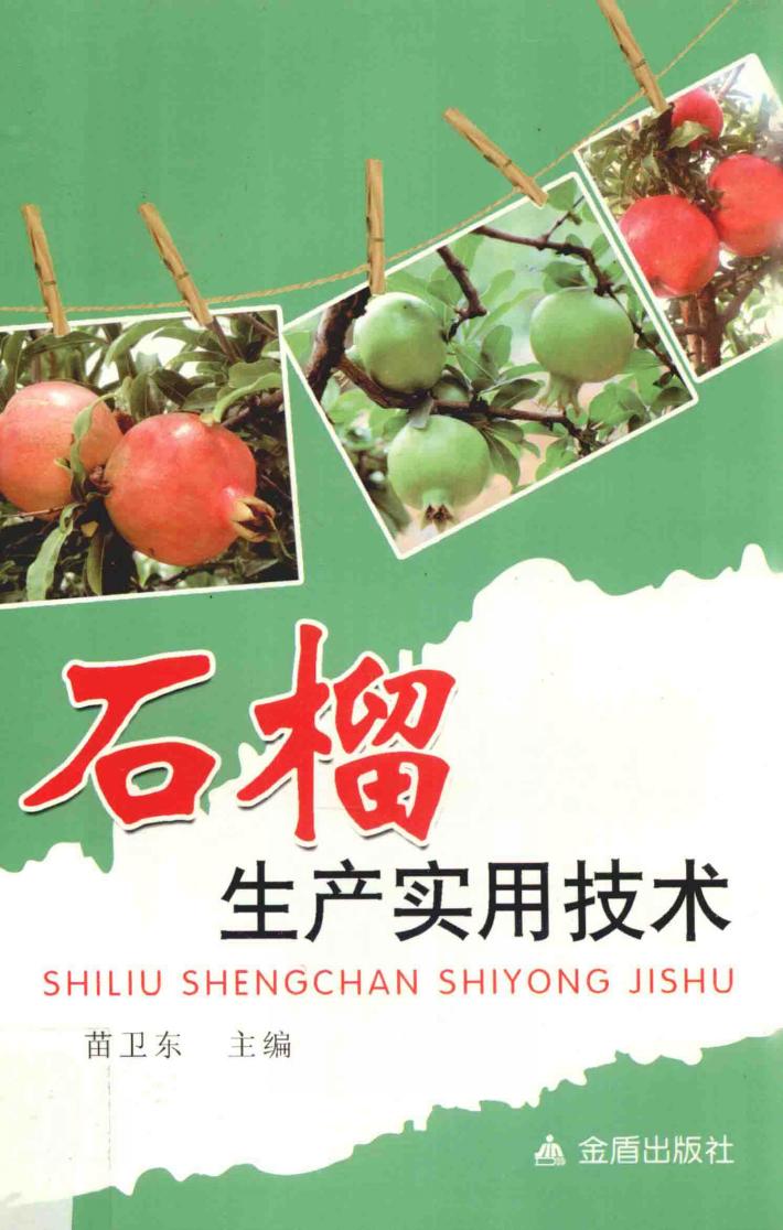 石榴生产实用技术 封面