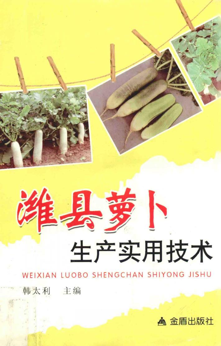 潍县萝卜生产实用技术 封面