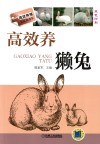 高效养獭兔  高效养殖致富直通车 封面