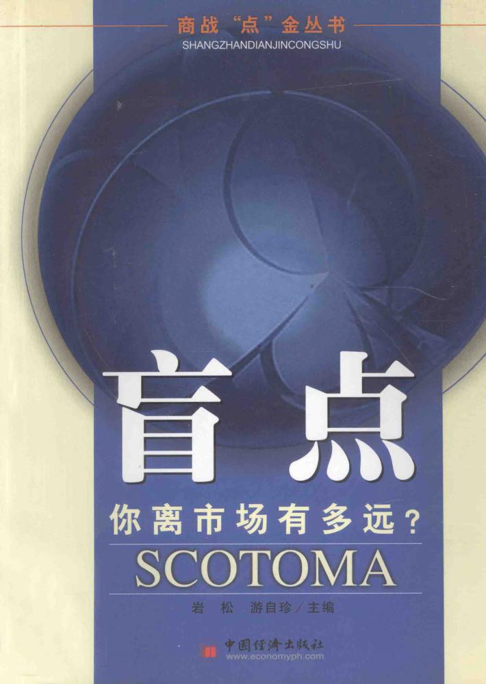 盲点  你离市场有多远？ 封面