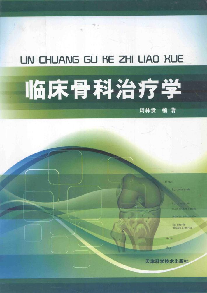 临床骨科治疗学 封面