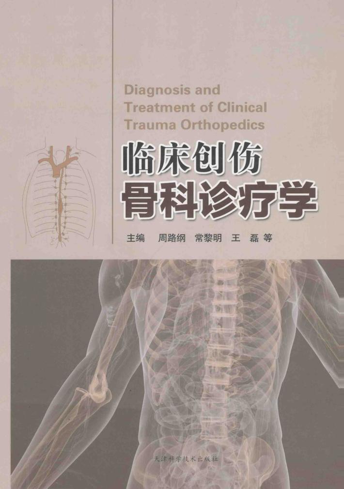 临床创伤骨科诊疗学 封面