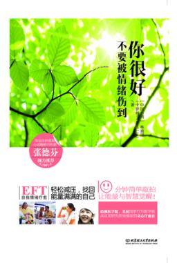 你很好，不要被情绪伤到 封面