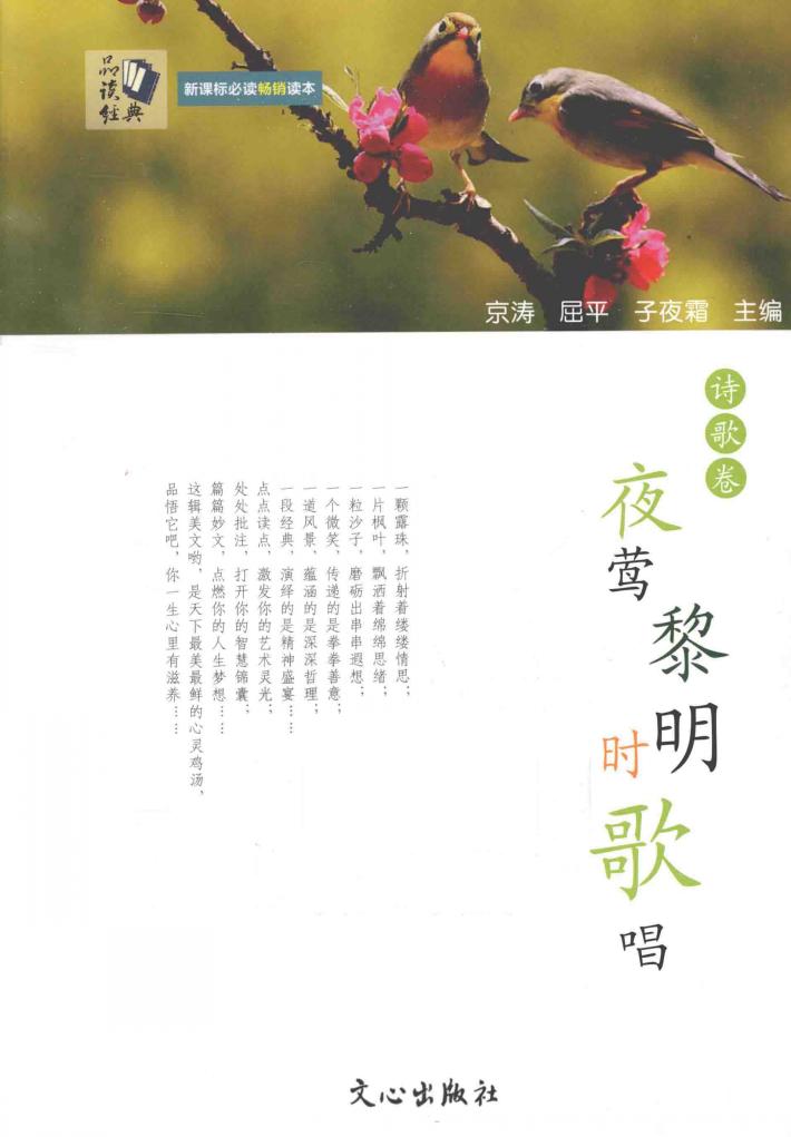 夜莺黎明时歌唱  诗歌卷 封面