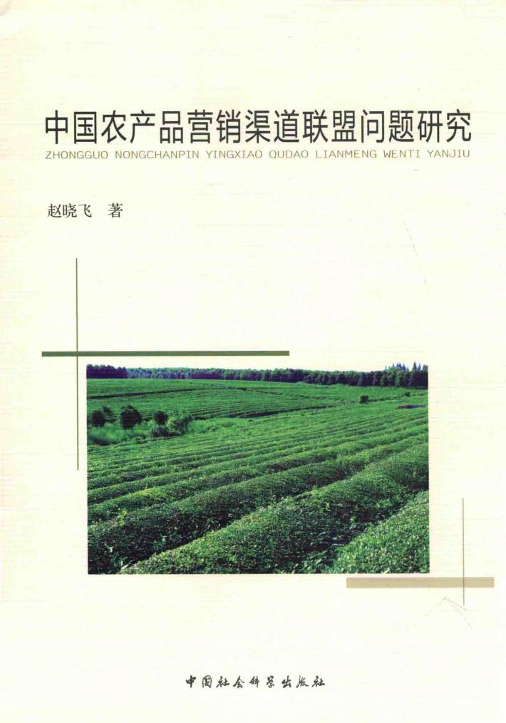 窥视与奇观  中国电影影像特征的视觉文化研究 封面