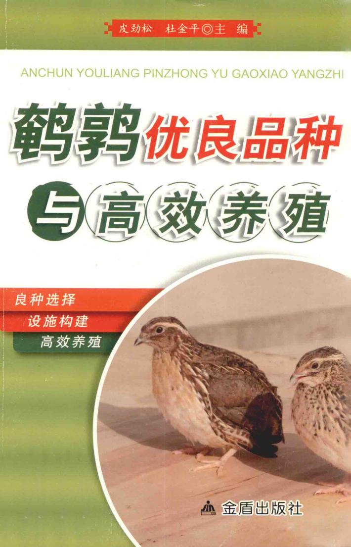 鹌鹑优良品种与高效养殖 封面