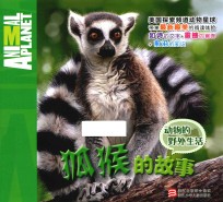 动物的野外生活  狐猴的故事 封面