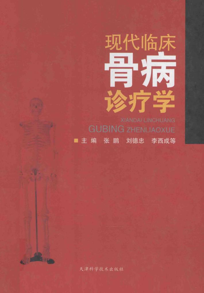 现代临床骨病诊疗学 封面