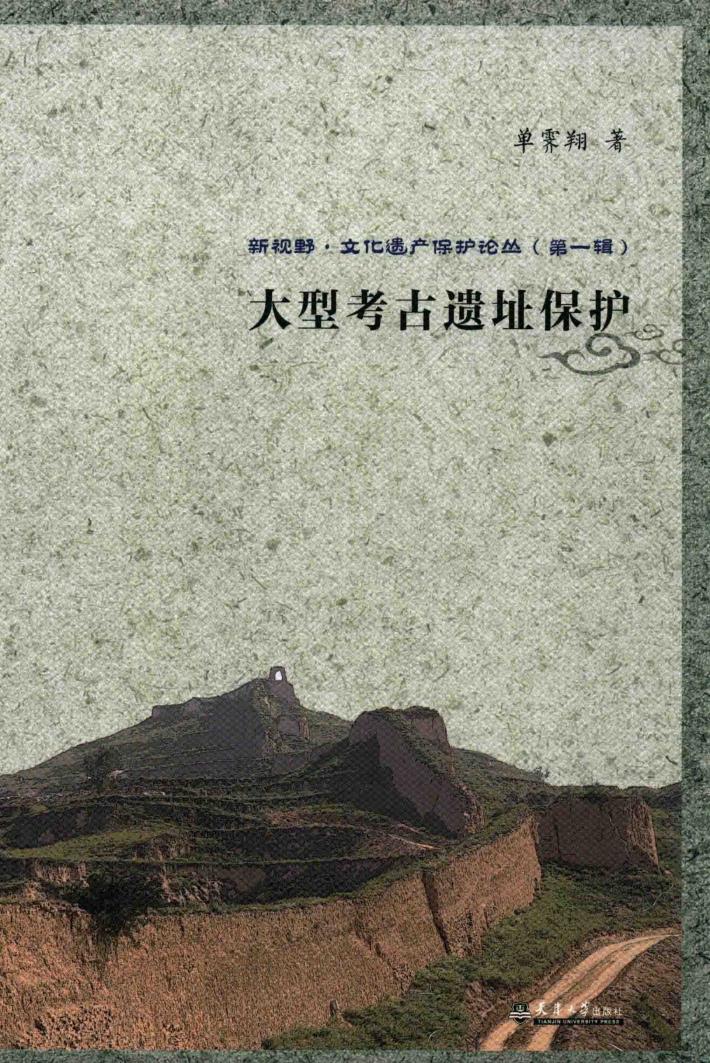 大型考古遗址保护 封面