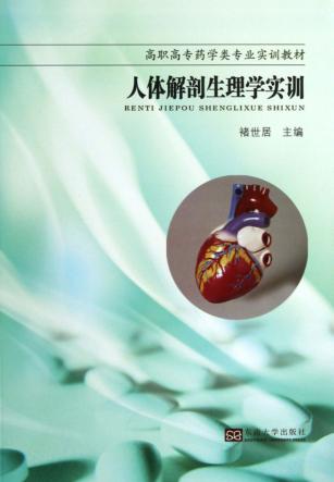 人体解剖生理学实训 封面