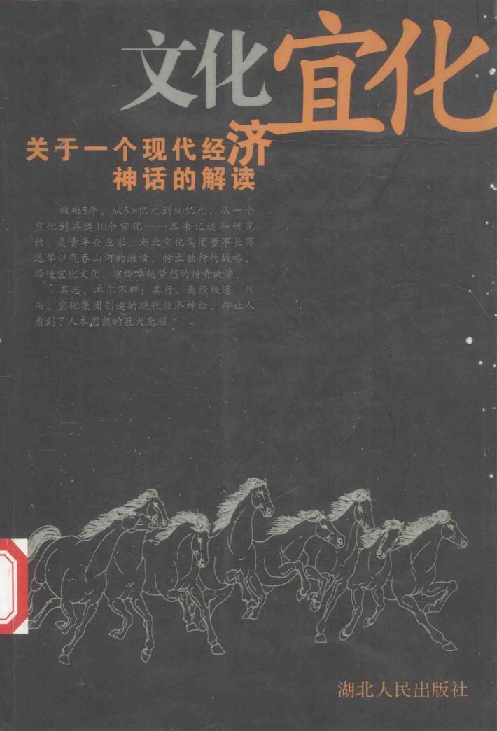 文化宜化  关于一个现代经济神话的解读 封面
