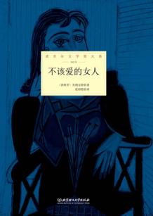 不该爱的女人 封面