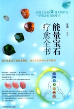 能量宝石疗愈全书 封面