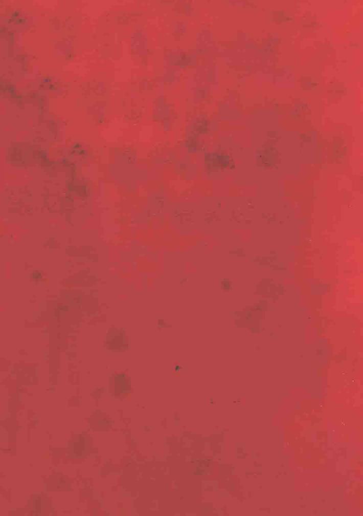 革命现代京剧 封面