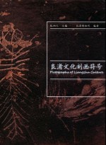 良渚文化刻画符号 封面