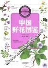 中国野花图鉴 封面
