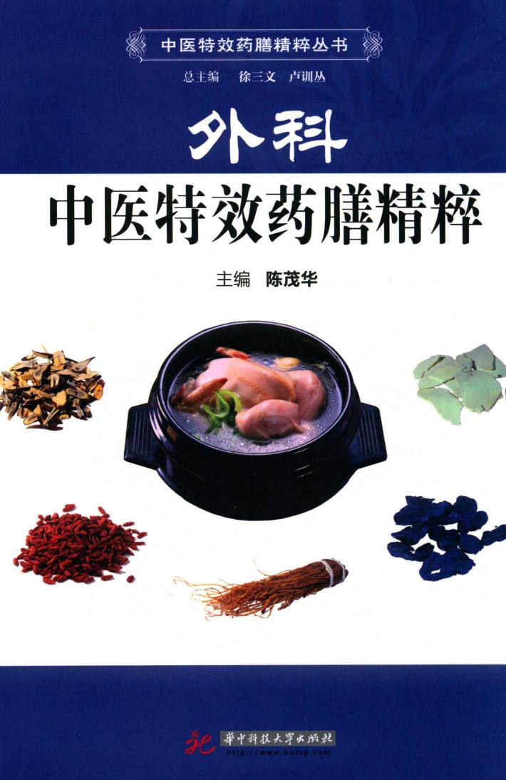 外科中医特效药膳精粹 封面