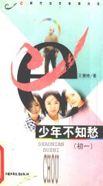 少年不知愁 封面
