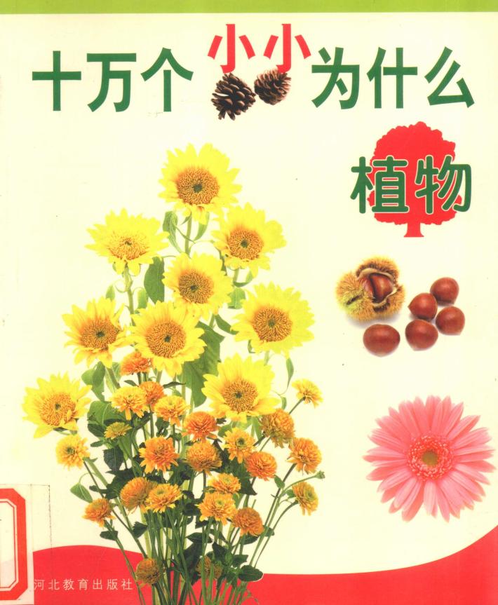 十万个小小为什么  植物 封面