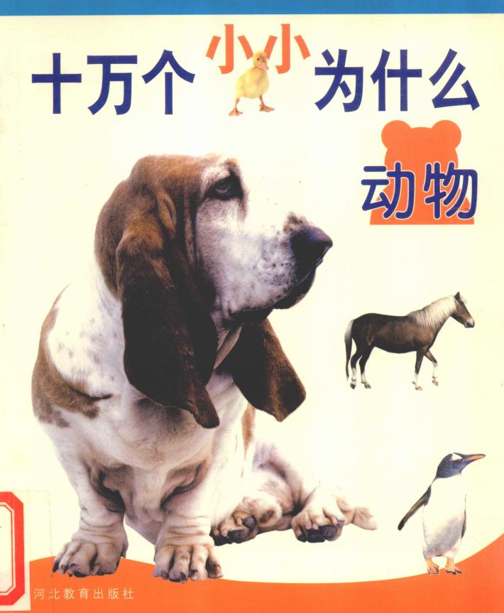 十万个小小为什么  动物 封面