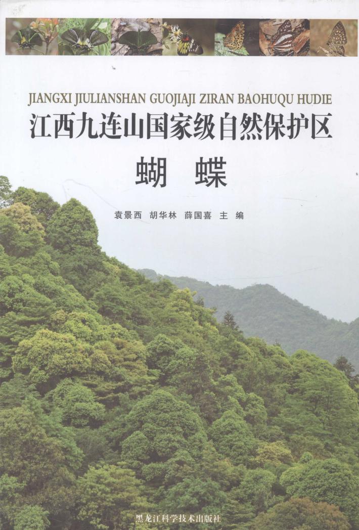 江西九连山国家级自然保护区  蝴蝶