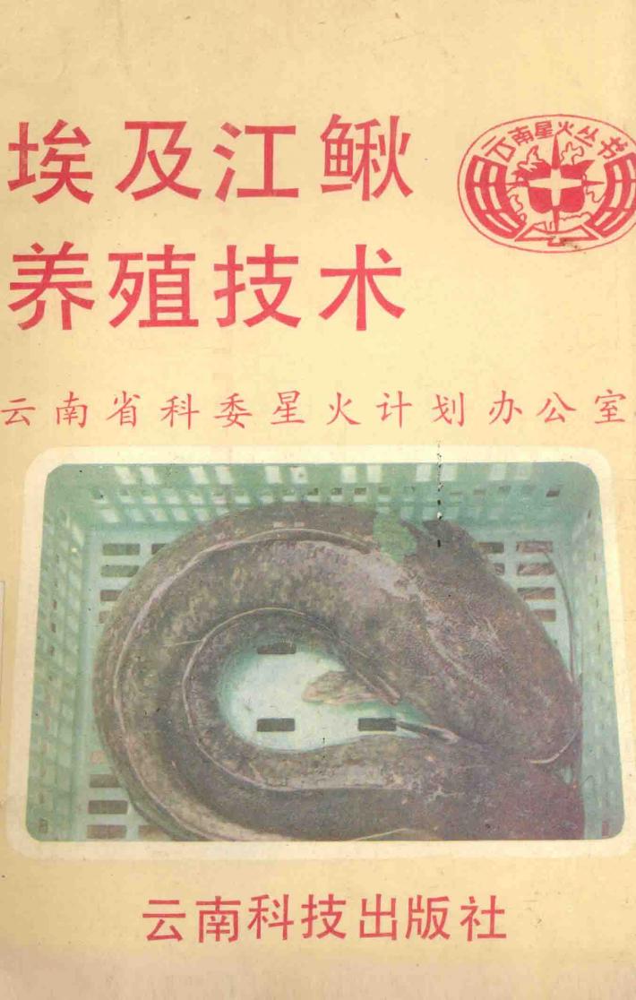 埃及江鳅养殖技术 封面