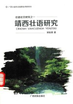 靖西壮语研究 封面