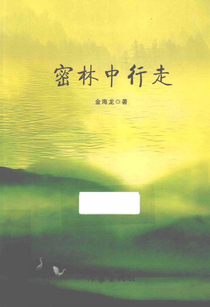 密林中行走 封面