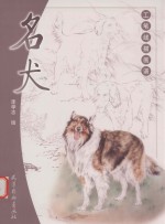 工笔线描画谱  名犬 封面
