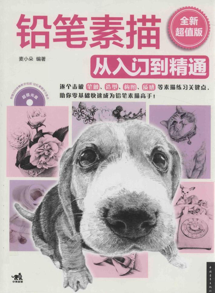 铅笔素描从入门到精通  全新超值版 封面