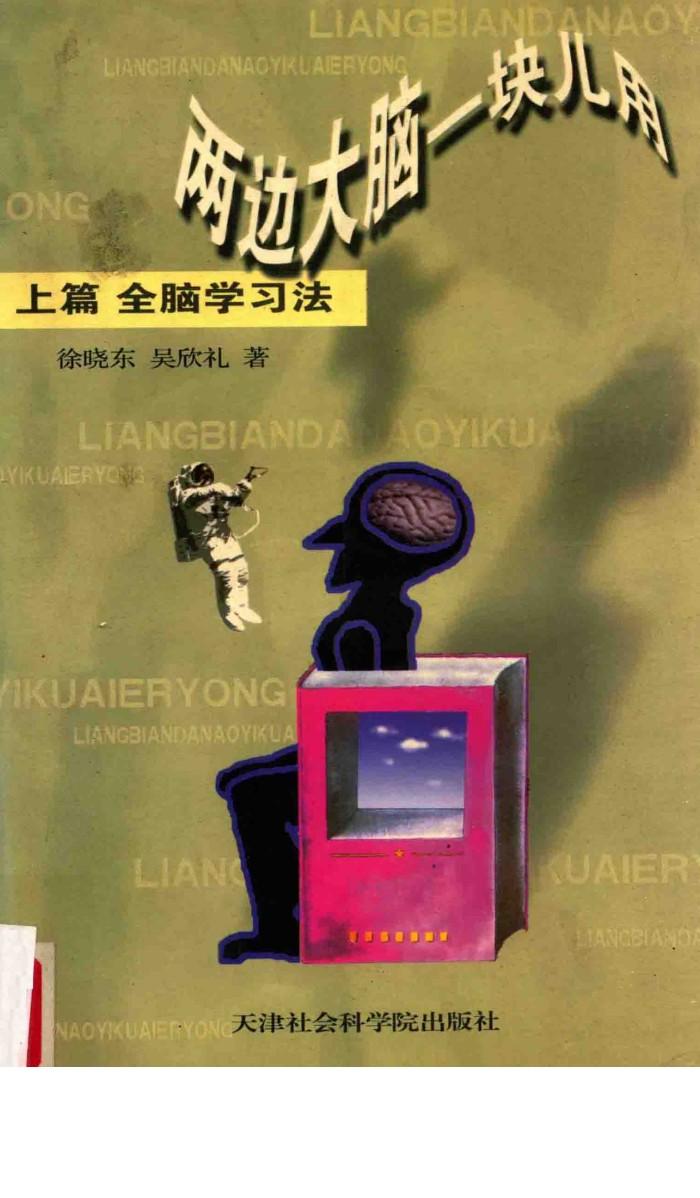两边大脑一块用  上篇  全脑学习法 封面